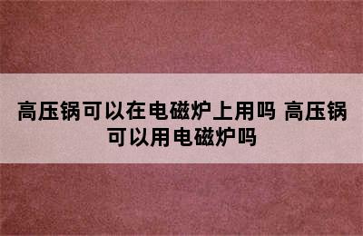 高压锅可以在电磁炉上用吗 高压锅可以用电磁炉吗